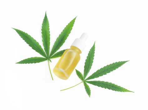 Cannabis or marijuana oil with green leaf plant on white background, health care and medical concept