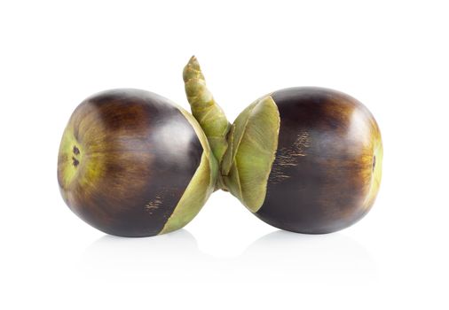 Asian palmyra palm fruit isolated on white background, Food healthy concept