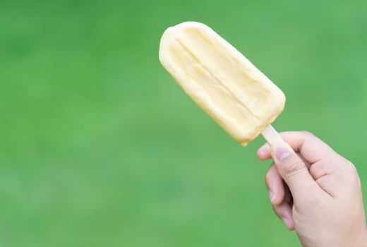 Woman hand holding ice cream  with nature garden background