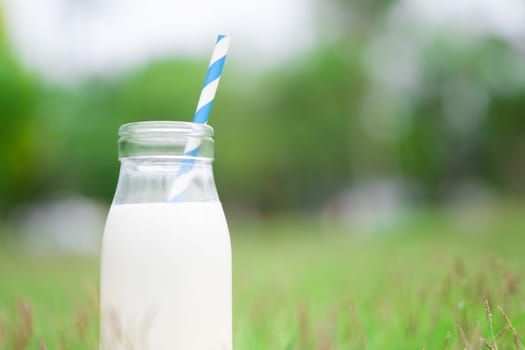 Closeup glass bottle of milk on green grass nature background, food healthy concept