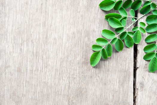 Closeup top view moringa leaves branch on wood background, herb and medical concept