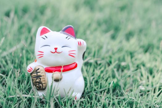 Maneki neko on green grass with sun light in the morning, select focus