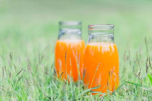 Closeup glass bottle of orange juice fruit on green grass nature background, food healthy concept