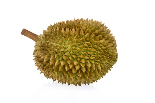 Durian tropical fruit isolated on white background