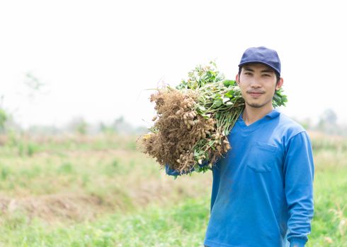 Closeup gardener man holding fresh raw peanut with happy face in the green field, selective focus