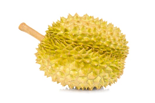 Durian tropical fruit isolated on white background