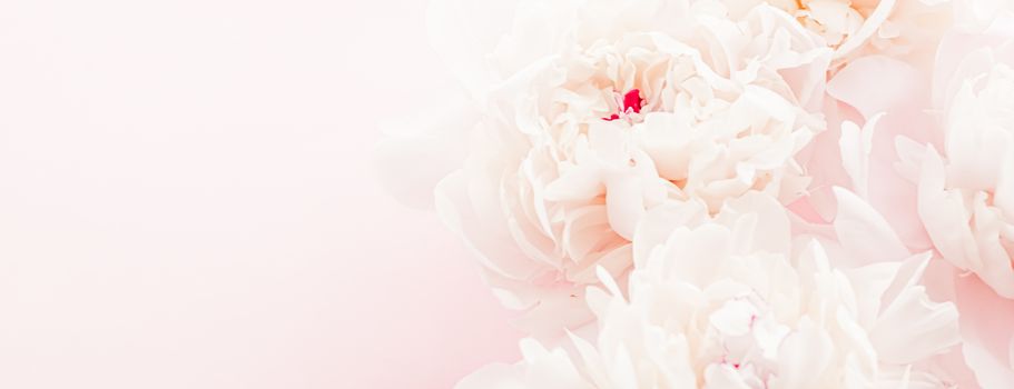 Peony flowers in bloom as floral art on pink background, wedding flatlay and luxury branding design