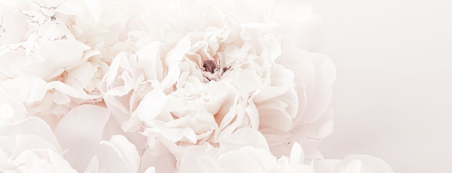 Pastel peony flowers in bloom as floral art background, wedding decor and luxury branding design