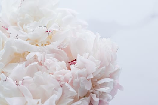 Bouquet of peony flowers as luxury floral background, wedding decoration and event branding design