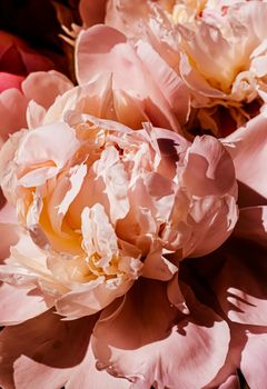 Peony flowers as luxury floral background, wedding decoration and event branding design