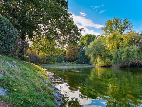 Lake with swimming ducks in Wroclaw Tolpa Park