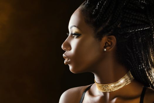 Close up sensual studio portrait of beautiful young african girl.Side view of woman with braided hairstyle.