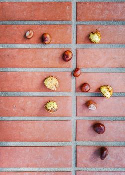 Flat lay of chestnuts and shells on orange bricks