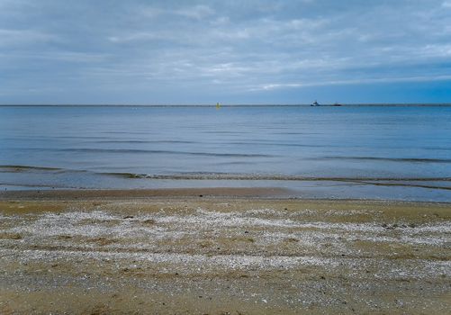 Beach full of white shells near baltic sea in Swinoujscie in november