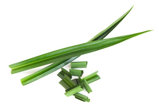 Fresh green pandan leaves isolated on white background