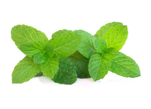Fresh green mint leaves isolated on white background, Herb and medical concept