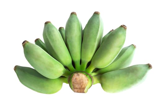 Green banana branch isolated on white background