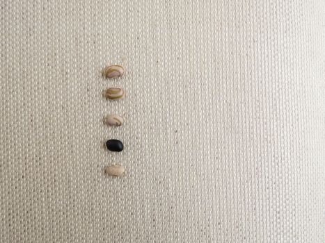 Line with five beans, carioca and black beans, seen from above on the light colored textured fabric.