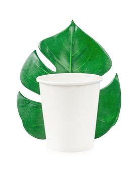 Eco friendly craft paper cup monstera leaf isolated on white background, Save clipping path. Recycling concept. Zero waste theme