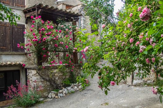 regional park the provencal baronies