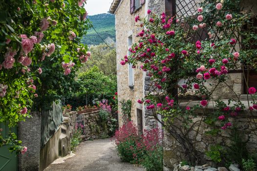 regional park the provencal baronies