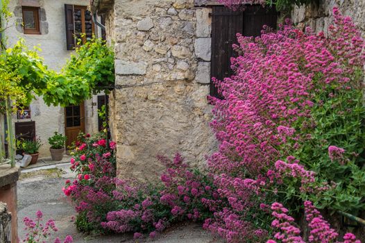 regional park the provencal baronies