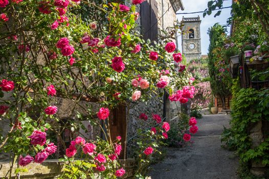 regional park the provencal baronies