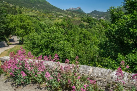 regional park the provencal baronies