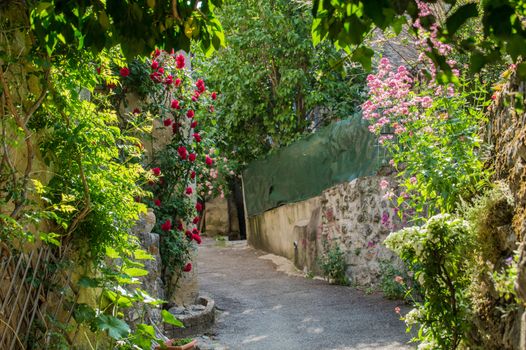 regional park the provencal baronies