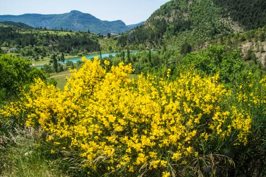 regional park the provencal baronies