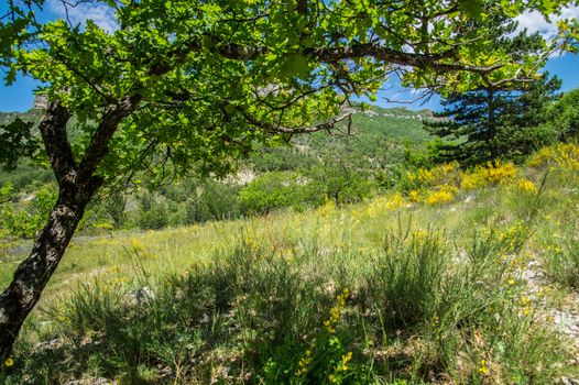 regional park the provencal baronies