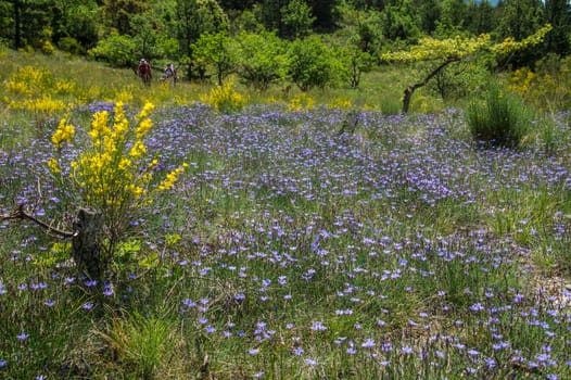 regional park the provencal baronies