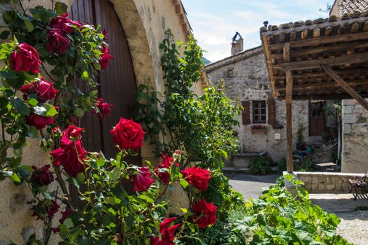 regional park the provencal baronies