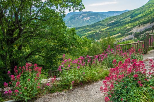 regional park the provencal baronies