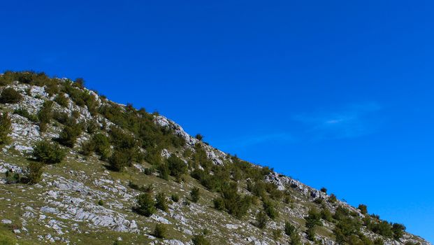 The concept of a mountain desert. Shrubs on a hill with stones. On the way to the mountain Bjelasnica.