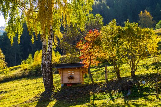 brusson in valais in swiss