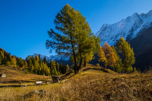 blatten in loschental in swiss