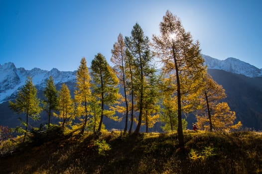 blatten in loschental in swiss