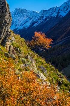 blatten in loschental in swiss