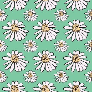 Daisies pattern , illustration, vector on white background