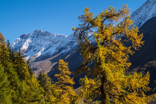 blatten in loschental in swiss