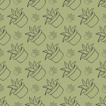 Aloe pattern , illustration, vector on white background