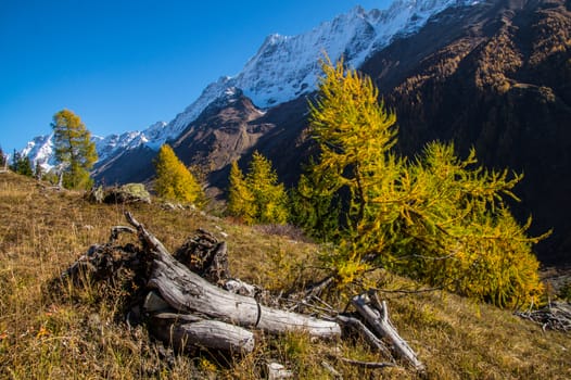 blatten in loschental in swiss