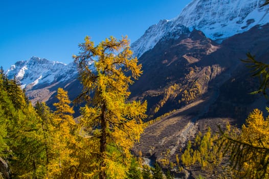 blatten in loschental in swiss