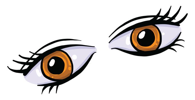 Brown eyes , illustration, vector on white background