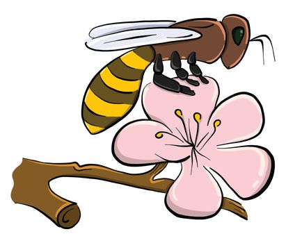 Bee on flower , illustration, vector on white background