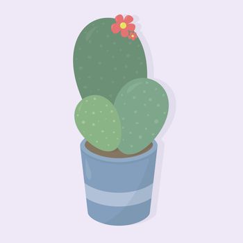 Cactus in blue pot , illustration, vector on white background