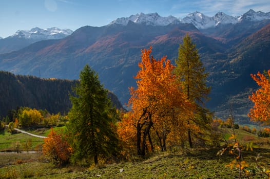 la salle in val aoste in italy