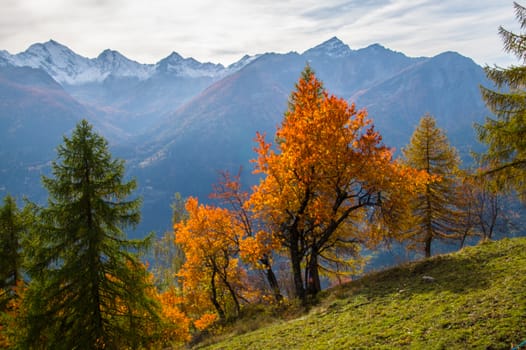 la salle in val aoste in italy