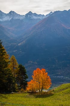 la salle in val aoste in italy